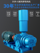 熔噴布高壓風機—“大成”羅茨風機